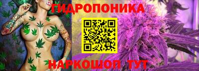 скорость Краснодар