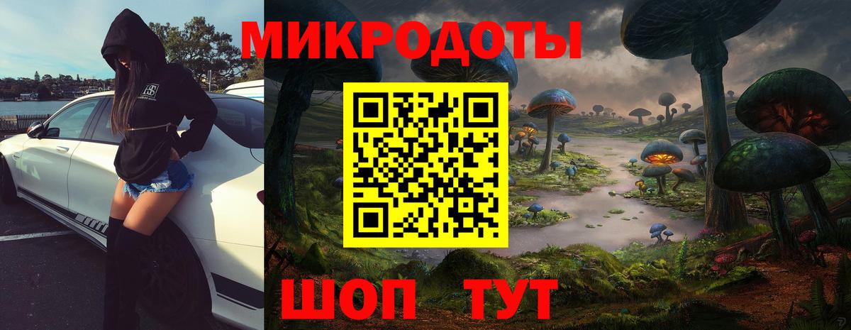 Канаш  хочу наркоту  Вход с VPN  Галлюциногенные грибы Magic Shrooms 