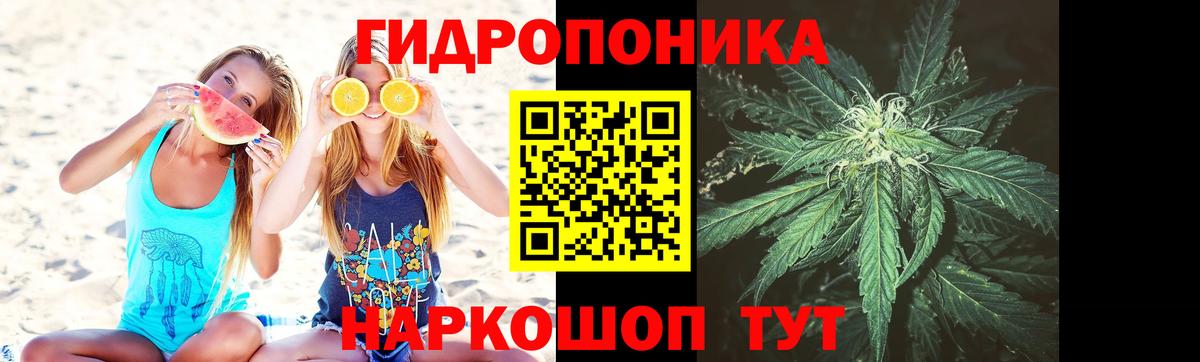 Канаш  Шишки марихуана THC 21%  Конопля White Widow  Вход с VPN 